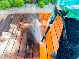 Fence Cleaning Project